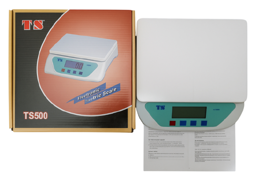 Pesa Electrónica TS500